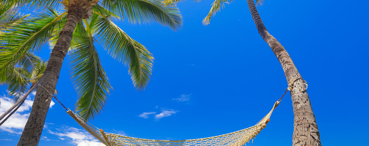 Incentive Travel